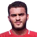 Hesham Hafez