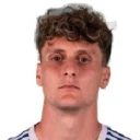 Gabriele Piccinini