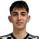 Demir Ege Tıknaz