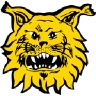 Ilves
