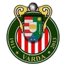 Kisvarda FC
