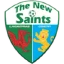 The New Saints