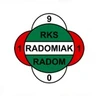 Radomiak Radom